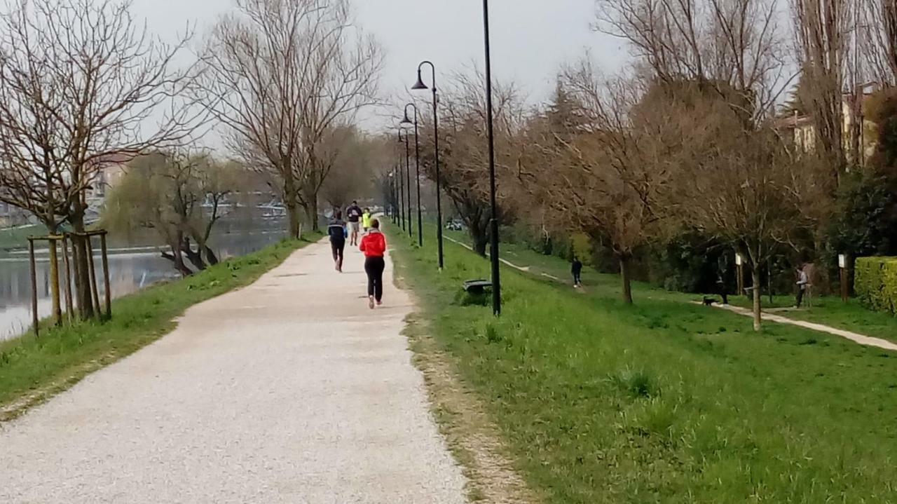 Vicino Al Prato Della Valle Appartamento